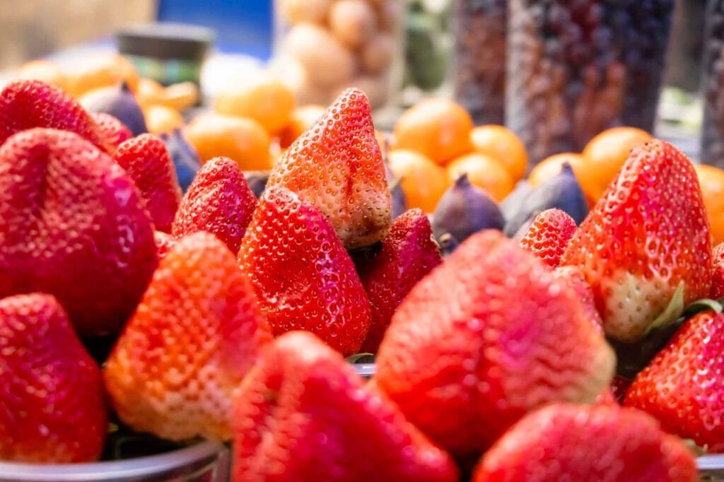 Ajijic Tianguis