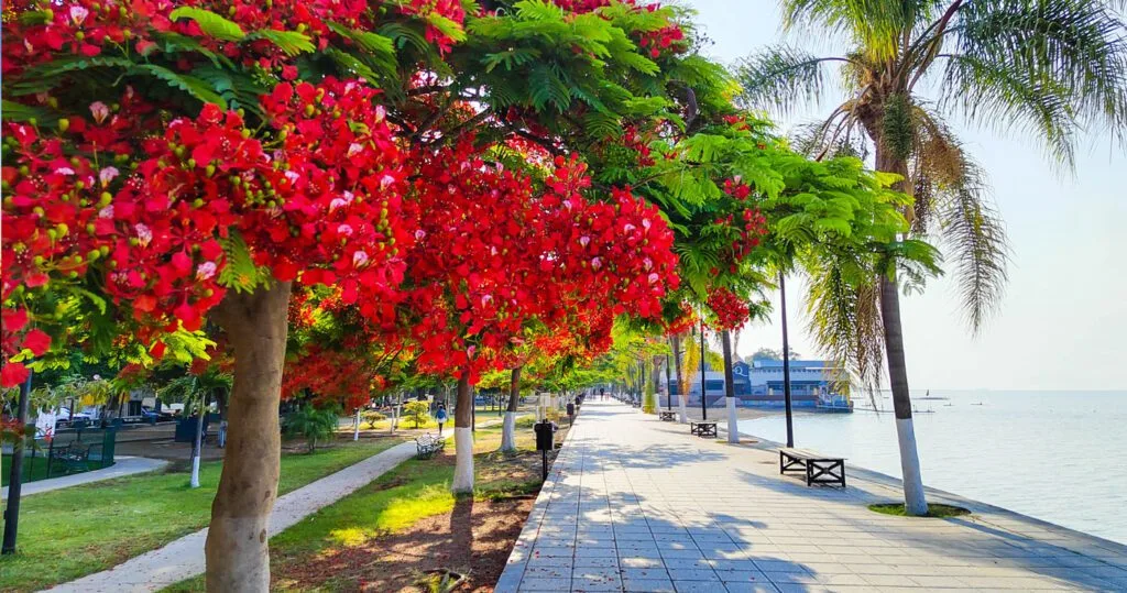 Malecón (Boardwalk) of Ajijic