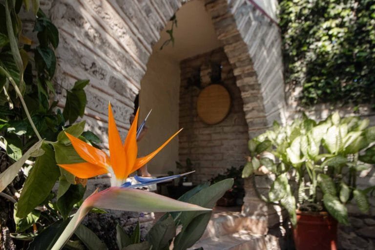 Hotel Casa Blanca Ajijic - garden