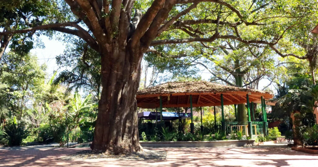 Lake Chapala Society - Kiosk