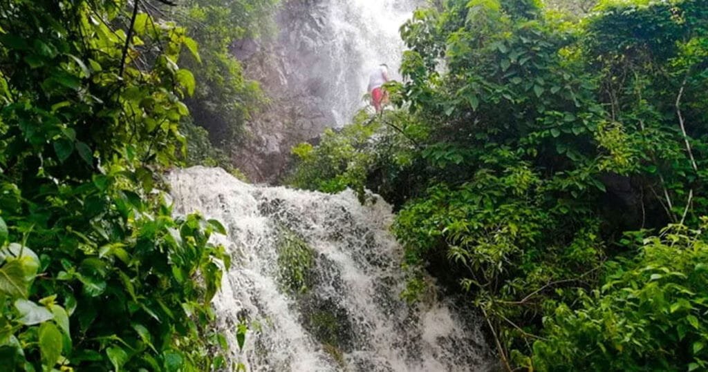 Tepalo in Ajijic