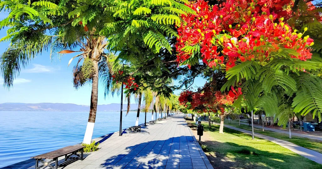 Clima ideal en Ajijic