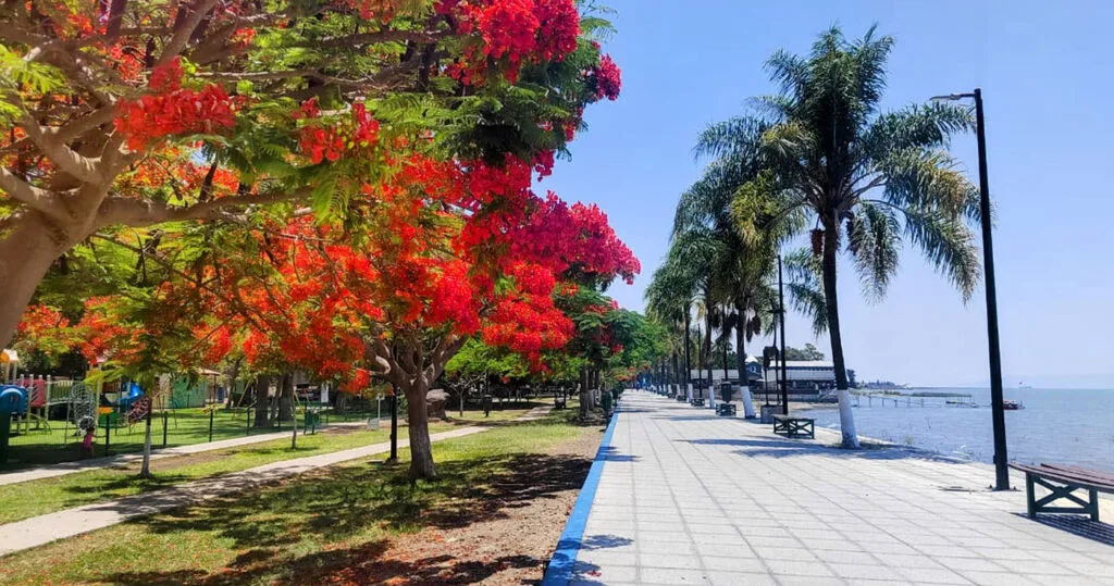 Mild Climate All Year Round - Ajijic
