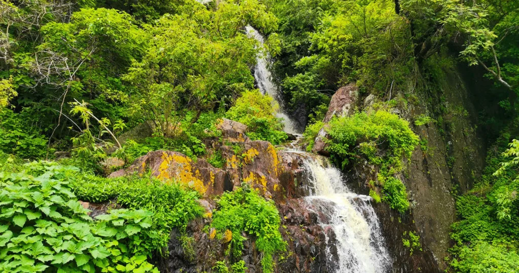 Hike up El Tepalo waterfall