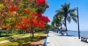 Ajijic boardwalk with colorful flowers